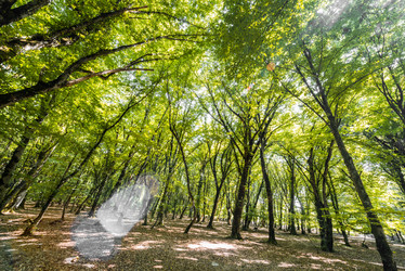 Similar image 6358191