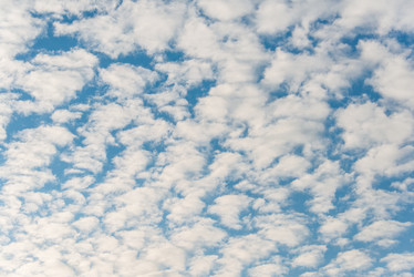 Similar image 6358410