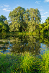 Similar image 6358451