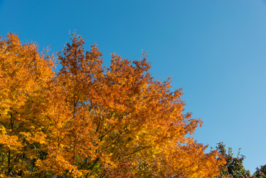 Similar image 6358560