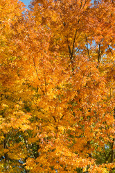 Similar image 6358571