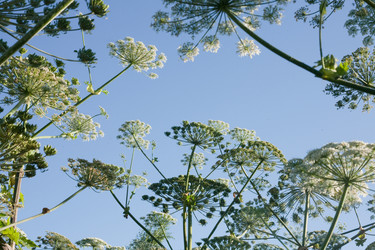 Similar image 6359550