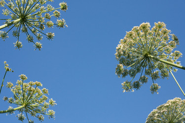 Similar image 6359551