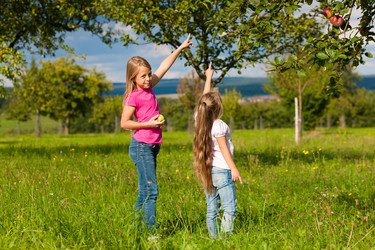 Similar image 6359582