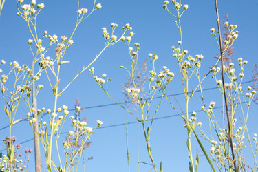 Similar image 6359671