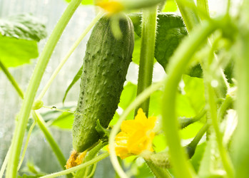 Similar image 6359940