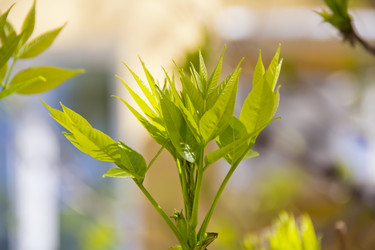 Similar image 6359994