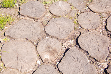 Similar image 6359997