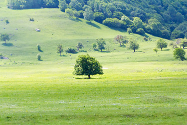 Similar image 6360000