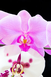 Similar image 6360007