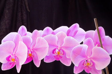 Similar image 6360008