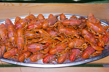 Similar image 6360014