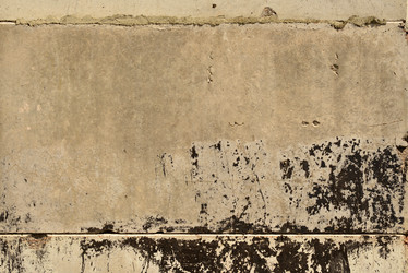 Similar image 6360153