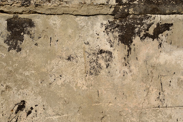 Similar image 6360160