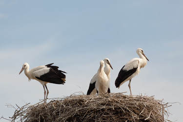 Similar image 6361706