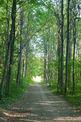 Similar image 6361720