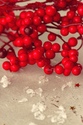 Similar image 6361730