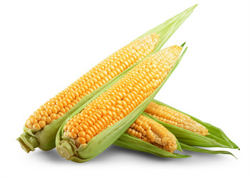 Similar image 6361752