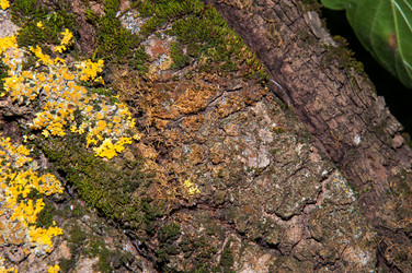 Similar image 6361762