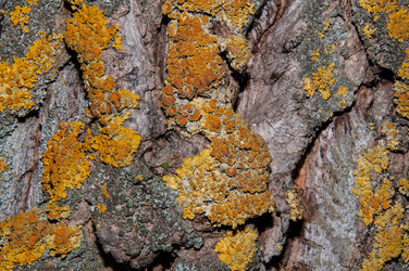 Similar image 6361763