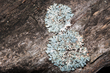 Similar image 6361764