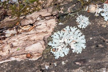 Similar image 6361782