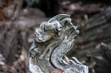 Similar image 6361788