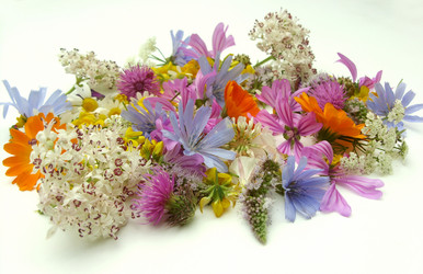 Similar image 6361796