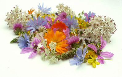 Similar image 6361797