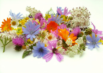 Similar image 6361798