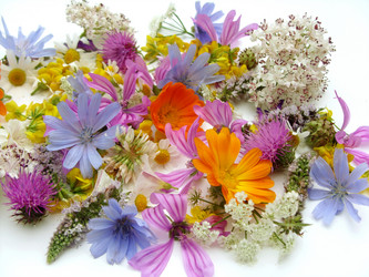 Similar image 6361799