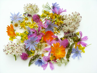 Similar image 6361800