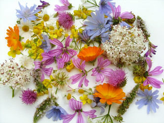 Similar image 6361801