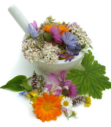 Similar image 6361811