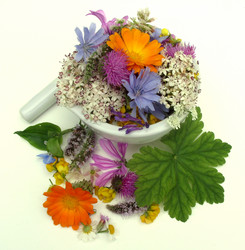 Similar image 6361814