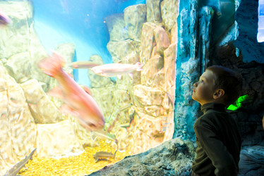 Similar image 6361944