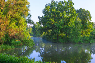 Similar image 6361946