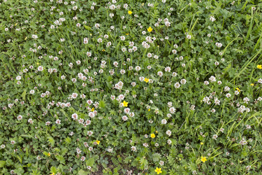 Similar image 6361975