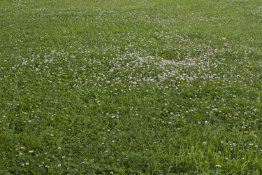 Similar image 6361976