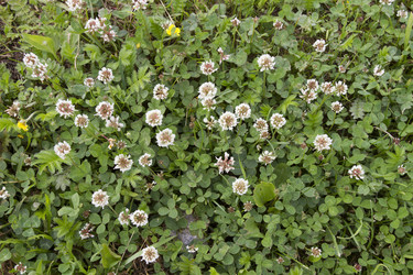 Similar image 6361982