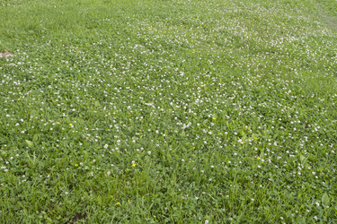 Similar image 6361984