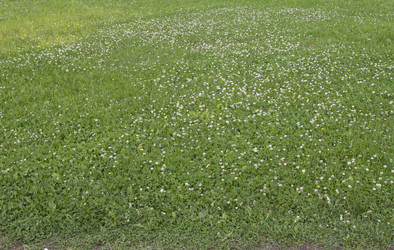 Similar image 6361988