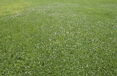 Similar image 6361989