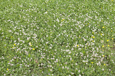 Similar image 6361991