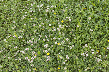 Similar image 6361994