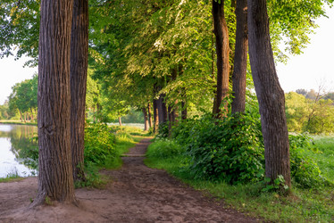 Similar image 6361998