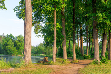 Similar image 6362001