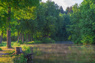 Similar image 6362006