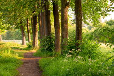 Similar image 6362009