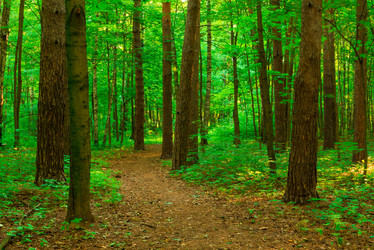 Similar image 6362019